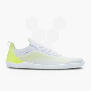 Sapatilhas Corrida Estrada Vivobarefoot Primus Lite Knit Masculino Amarelas | BR387PV