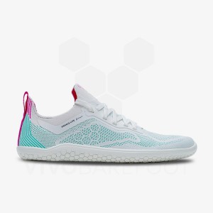 Sapatilhas Corrida Estrada Vivobarefoot Primus Lite Knit Masculino Azuis | BR386QC