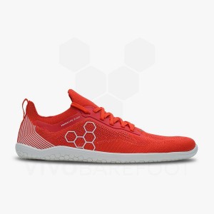 Sapatilhas Corrida Estrada Vivobarefoot Primus Lite Knit Masculino Vermelhas | BR384SZ