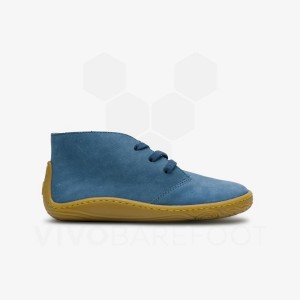 Sapatos Vivobarefoot Gobi Addis Juniors Criança Azul Anil | BR009DO