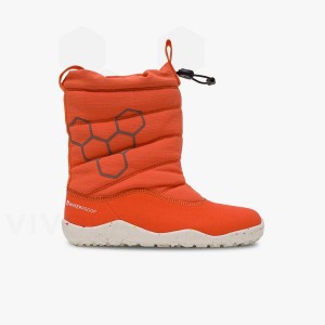 Sapatos Vivobarefoot Lumi FG Criança Rosa | BR042WH