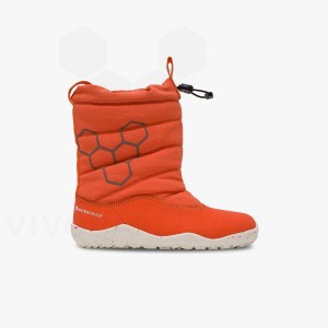 Sapatos Vivobarefoot Lumi FG Preschool Criança Rosa | BR039ZD