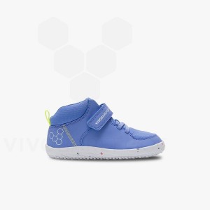 Sapatos Vivobarefoot Primus Ludo Hi Preschool Criança Azuis | BR031HT