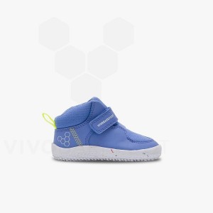 Sapatos Vivobarefoot Primus Ludo Hi Toddlers Criança Azuis | BR033FU