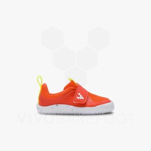 Sapatos Vivobarefoot Primus Sport III Toddlers Criança Rosa | BR069VJ